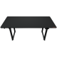 COUGAR Gaming Schreibtisch E-Grav 180, Carbon