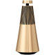 BeoSound 2 AL2; Gold Tone; WiFi 2 - FLEX