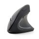 gembird Maus OPT ergonomisch wireless 6-Tasten schwarz